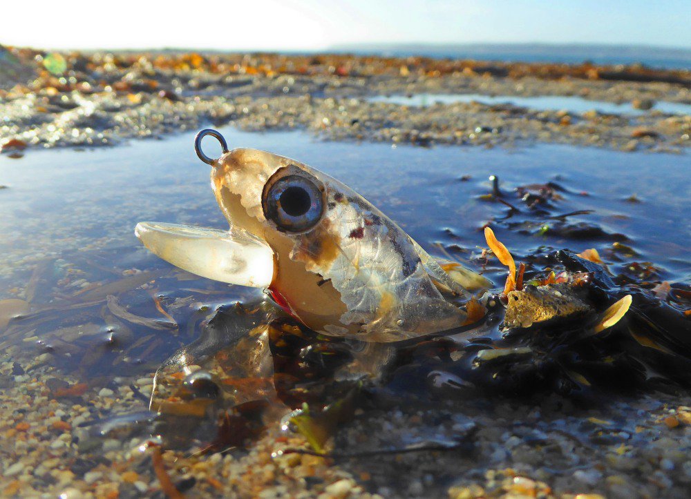 Cornish_PPC's tweet image. More plastic than fish in the sea #BeTheChange #BuyLessStuff in 2017 @sascampaigns @CleanCornwall @Seasaver @PlasticPollutes @PlasticOceans