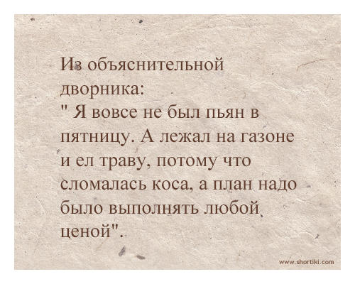Helga_Kolos (@bigli0n) on Twitter photo 