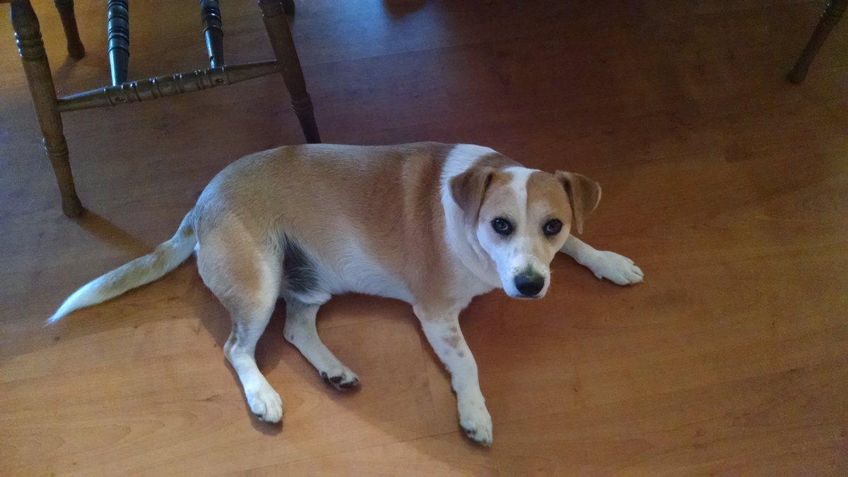 Quang Le tweet media