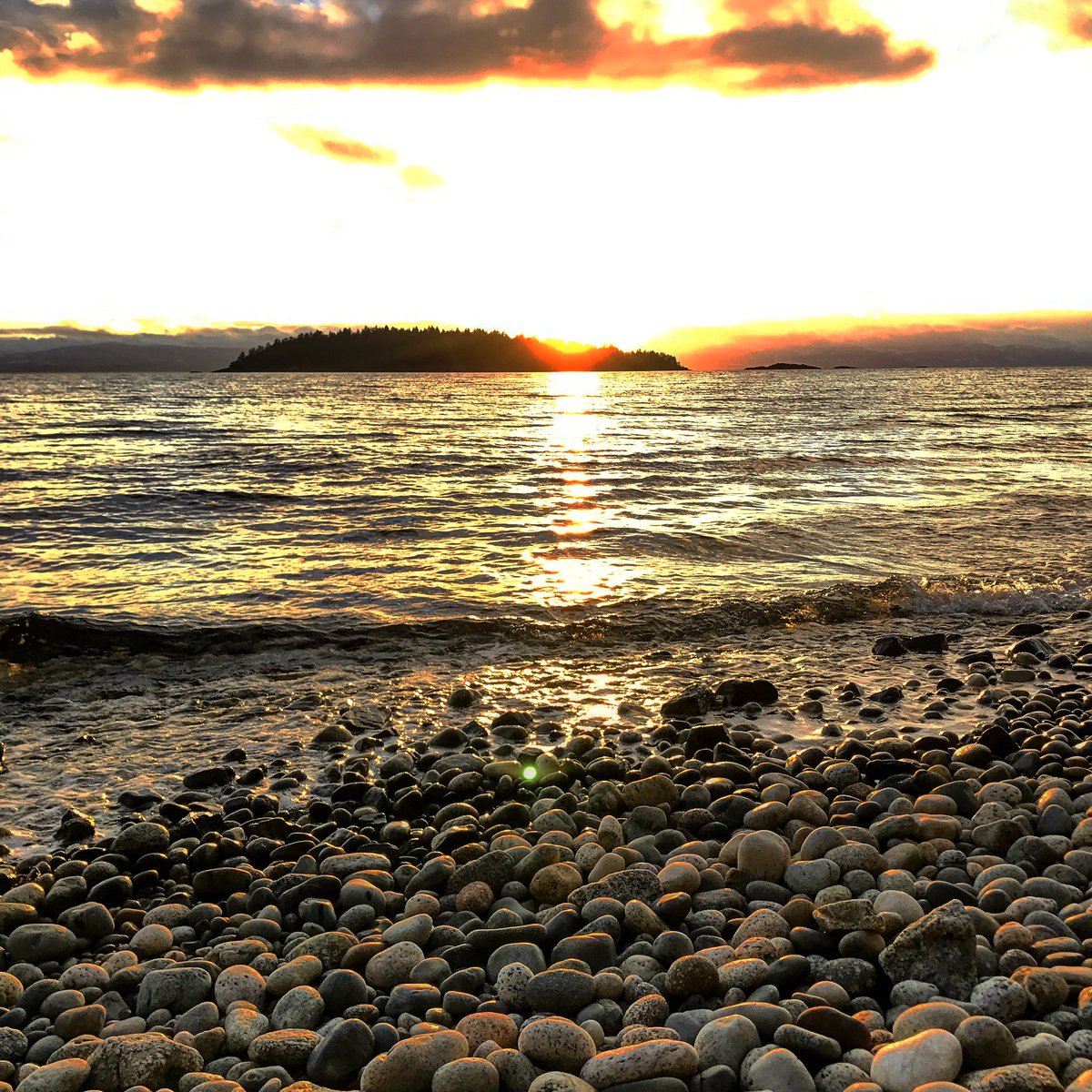 Jackrabbitjace's tweet photo. Yesterdays' sunset in Sechelt BC. #BritishColumbia #sunset #Canada #sechelt https://t.co/MTv7c8HOl6