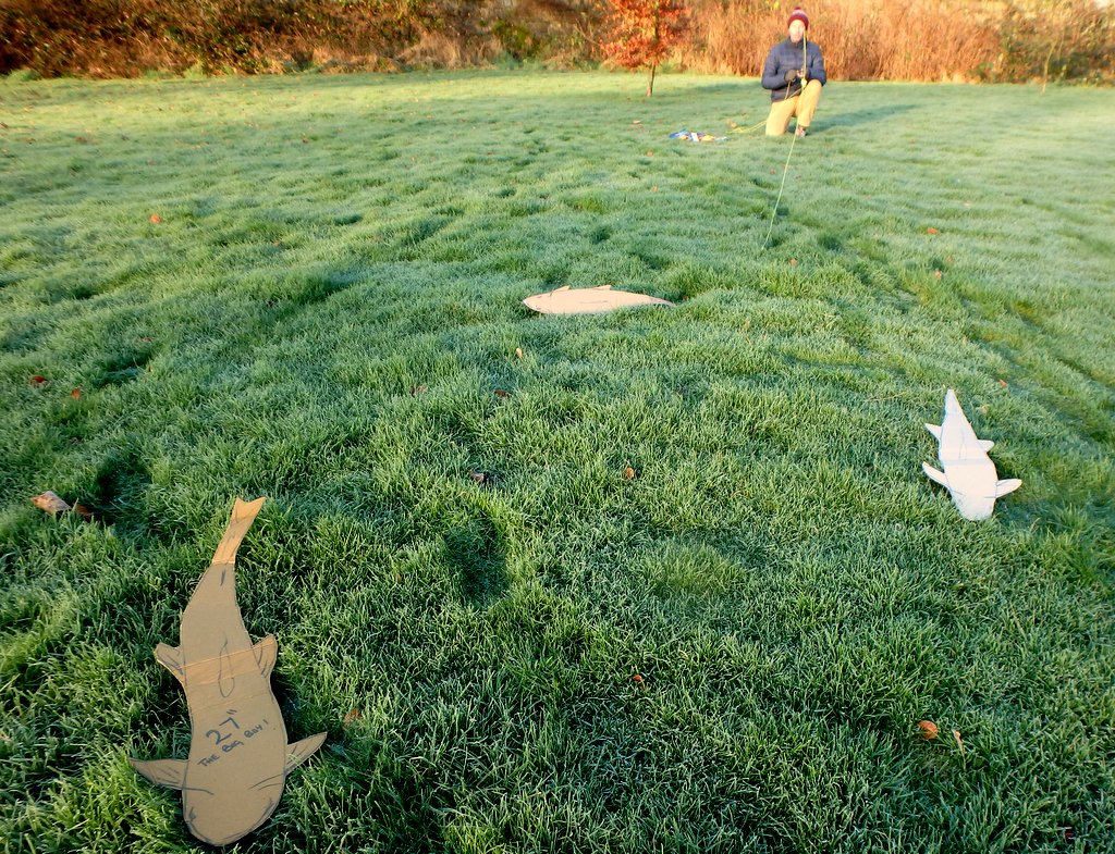 The best bit of Xmas recycling I've done...today my casting practice took on a whole new perspective <a href="/OrvisUK/">Orvis UK</a> <a href="/Partridge_Hooks/">Partridge Hooks</a> <a href="/semperfli/">Semperfli Fly Tying</a>