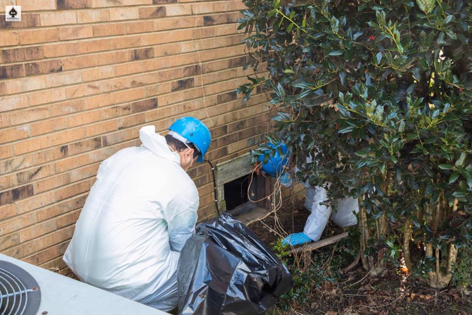 AceMoldRemoval's tweet image. Walking through your property allows us to gather information about its current condition and define the source of your #moldproblem.