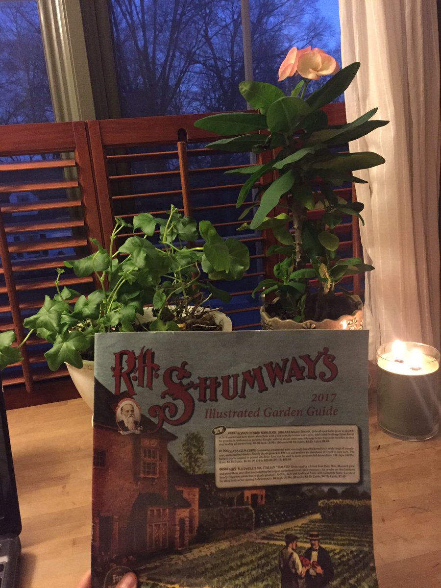 Received my R. H. Shumway's catalog in the mail.  Finding inspiration on every page. #homegardening #squarefootgardening