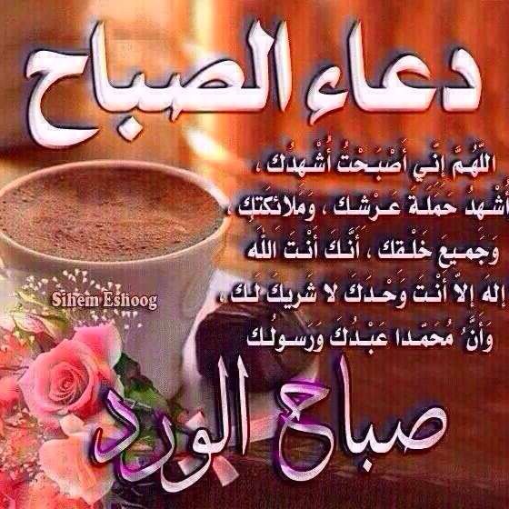 فهدالعتيبي (@ucij6ld1rpg06o7) on Twitter photo 