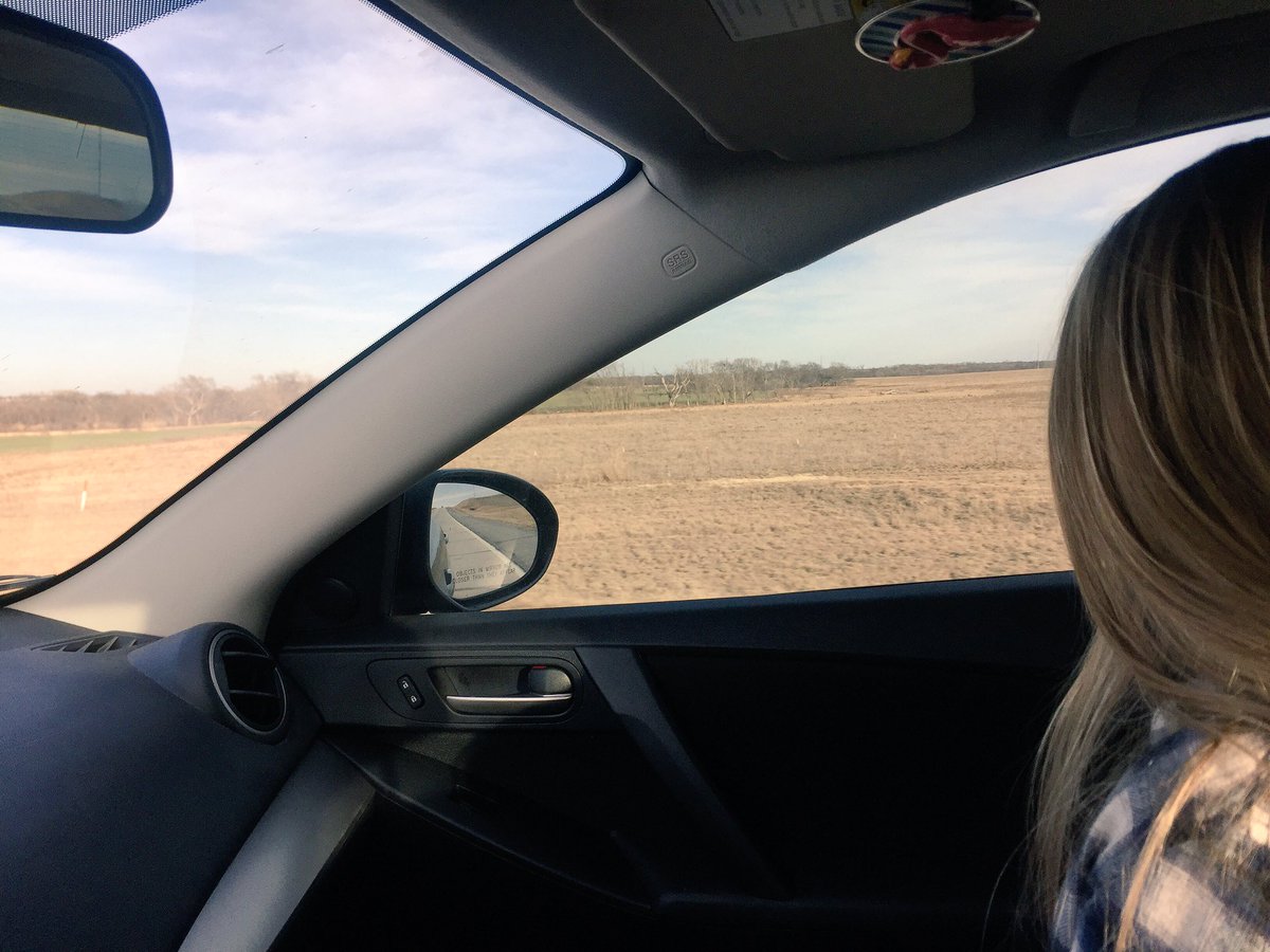 breamariee's tweet photo. "This is just so much grass for so few cows....." #caroquotes https://t.co/4PVKiATtdR