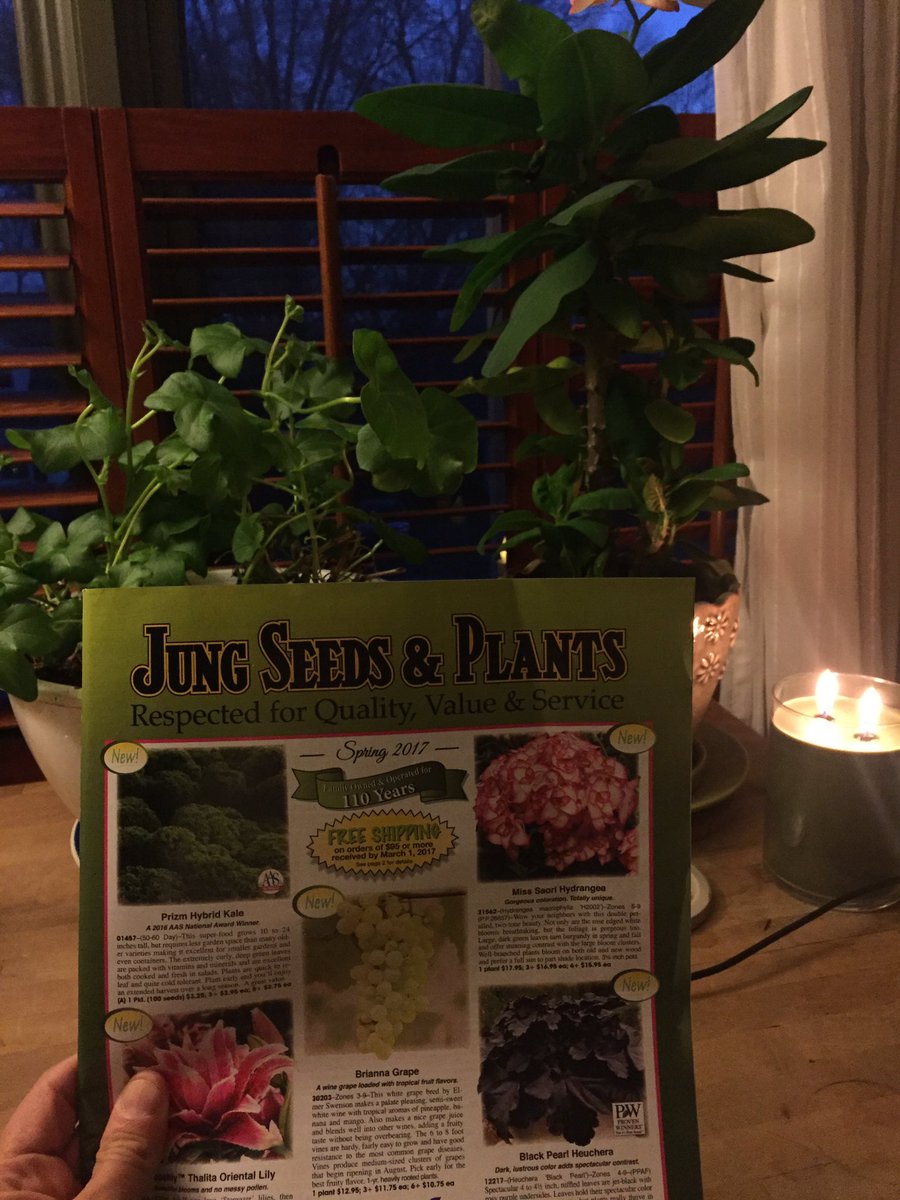 1703Beverly's tweet photo. @JungSeeds oh happy days! https://t.co/ujsi0xZHTX