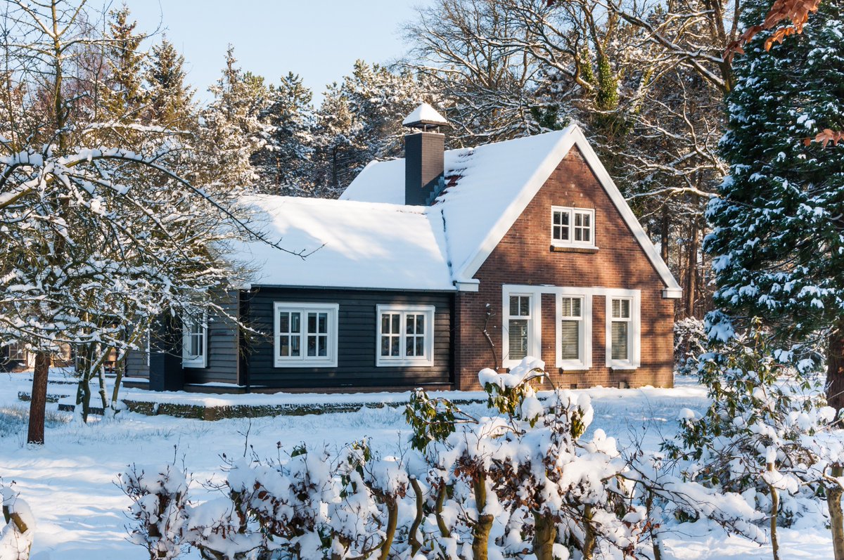 HarrowsmithTCA's tweet photo. Looking for an outdoor project for the holidays? Check out the latest issue! #diy #decoratingideas #winterwonderland https://t.co/t7r6BI1ovA https://t.co/dZOaQlq9Ks