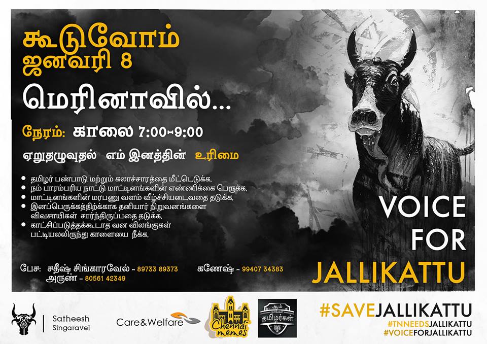 WeTamils's tweet photo. கூடுவோம் தமிழர் கடல் மெரினாவில்...
ஜனவரி 8 நேரம் 
காலை 7:00 - 9:00
#Chennaimemes #Jallikattu #voiceforJallikattu #TNneedsjallikattu https://t.co/LQhtXYBUW3