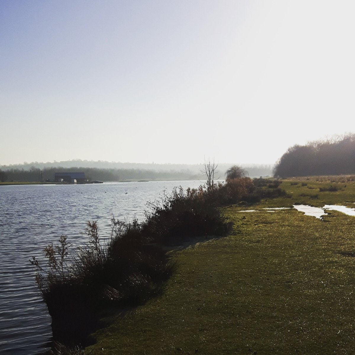 domabventure's tweet photo. #longrun #winterrunning #rothervalley #rothervalleypark #wintersun #sheffield #runsheffield #OptOutside #getoutside #running https://t.co/bax5ZAksMM