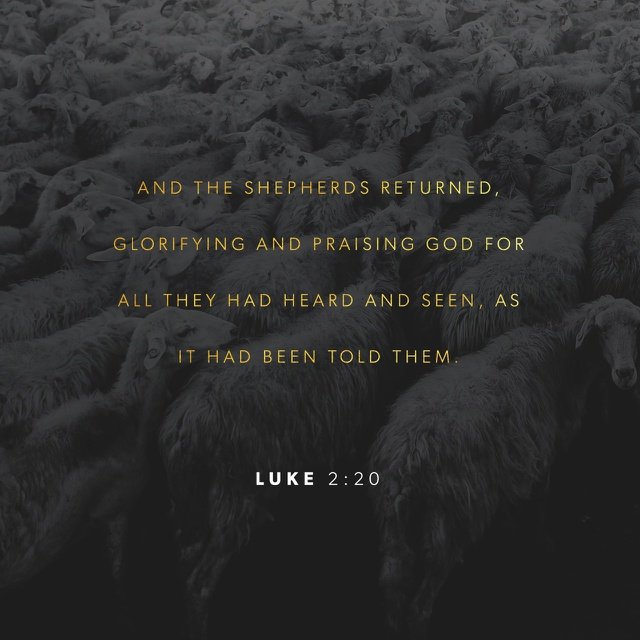 luveroGod's tweet photo. https://t.co/ct2ZqCKFYC https://t.co/oUWUFWFP2V
