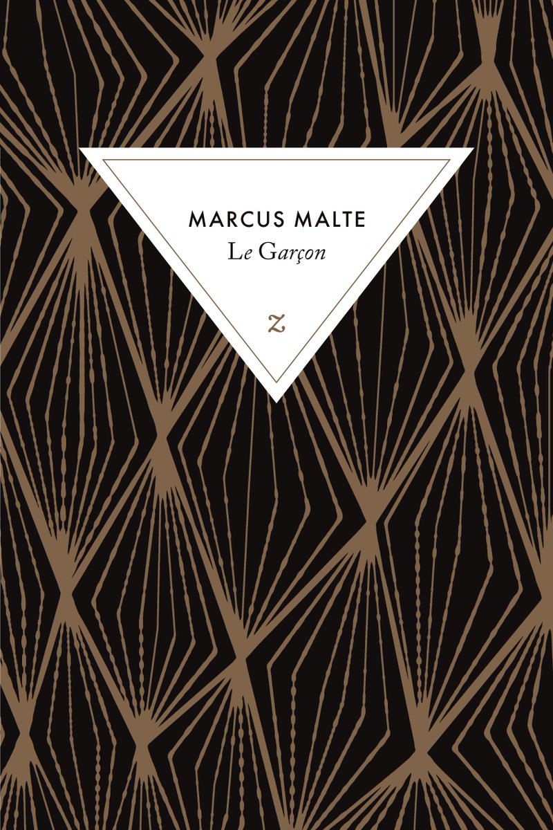 C_de_Peyrecave's tweet photo. "Ce qu’il va gravir maintenant n’est rien moins que la montagne de la civilisation." #marcusmalte @EditionsZulma https://t.co/4gmYSQLZUc