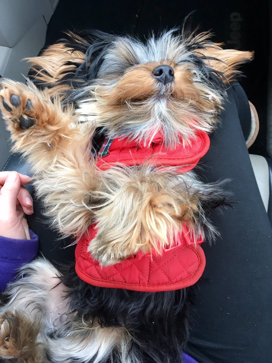 paigeprattt's tweet photo. Waving bye to the haters https://t.co/YGQd6U16ME