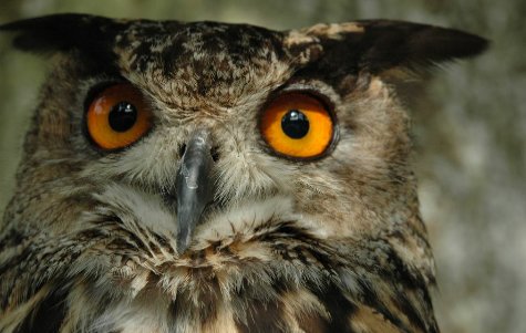 mikeymrpg's tweet image. same