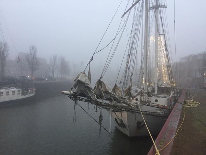 Prachtege plaatsjes van @SimonaScheffer! Ik krij dur sûver de kriebels van! #Toooooeet #Toooooeet #Toooooeet #Toooooeet