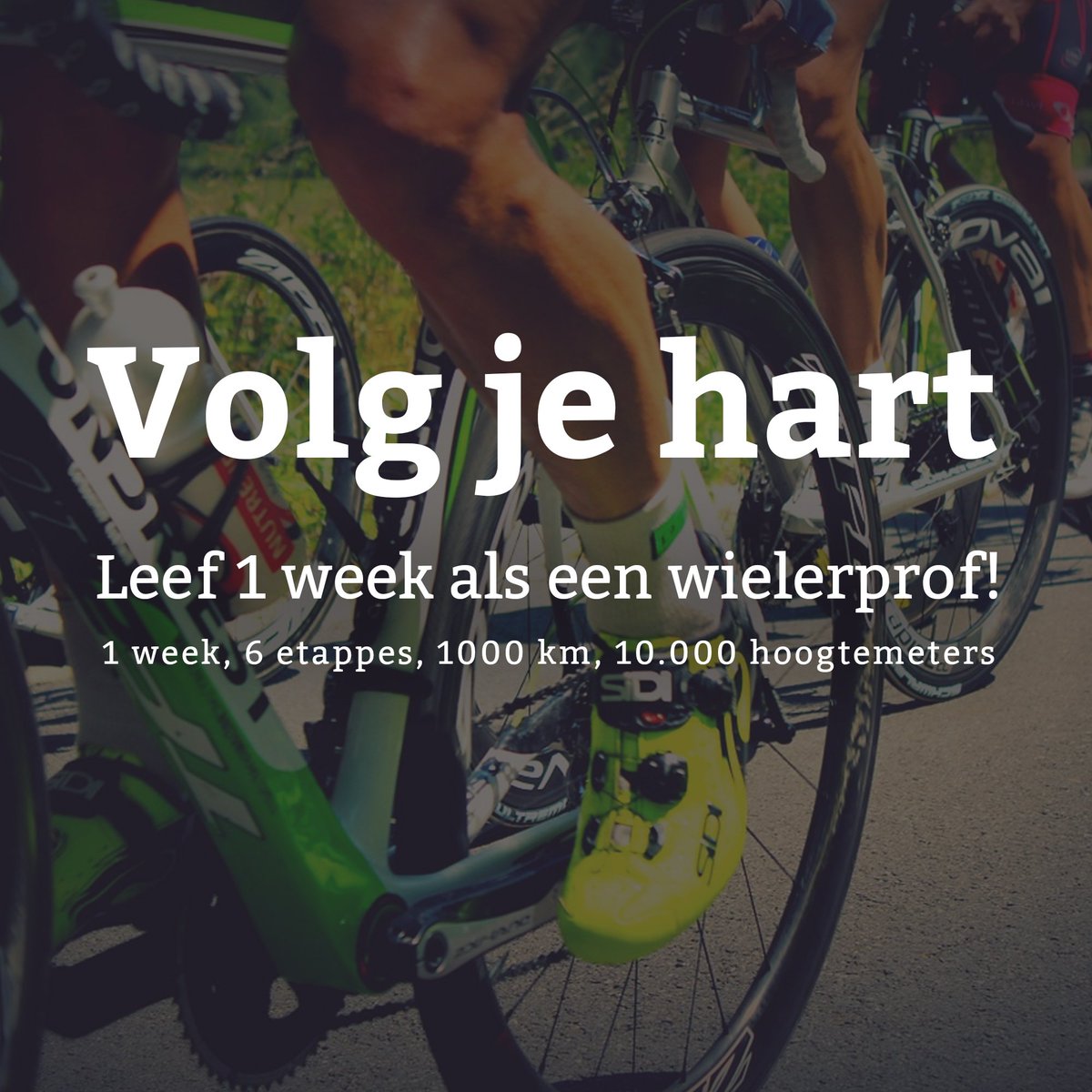 Ga naar bikelikeapro.nl. Leef 1 week als wielerprof. Laat ons weten wat jouw droom is! #bikelikeaprocycling