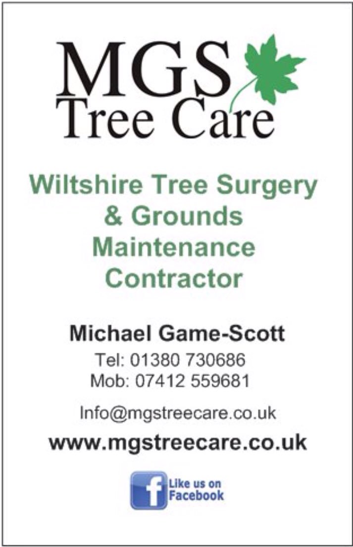 treecareMGS's tweet image. 