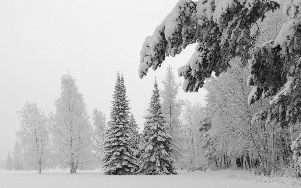 IsaiahEdwardsJr's tweet photo. Standing at the doorway of our cabin on the Edwards farmstead. Snowfall last night.  Walnut Grove, Minnesota. https://t.co/loFKjg9nFw