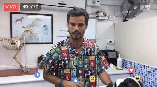 noticiAmerica's tweet photo. EN VIVO en #FaceTuFace Pancho Cavero nos da algunas recomendaciones para proteger a nuestras mascotas ► https://t.co/KBauyzxhNZ https://t.co/LcQHx9YEdJ