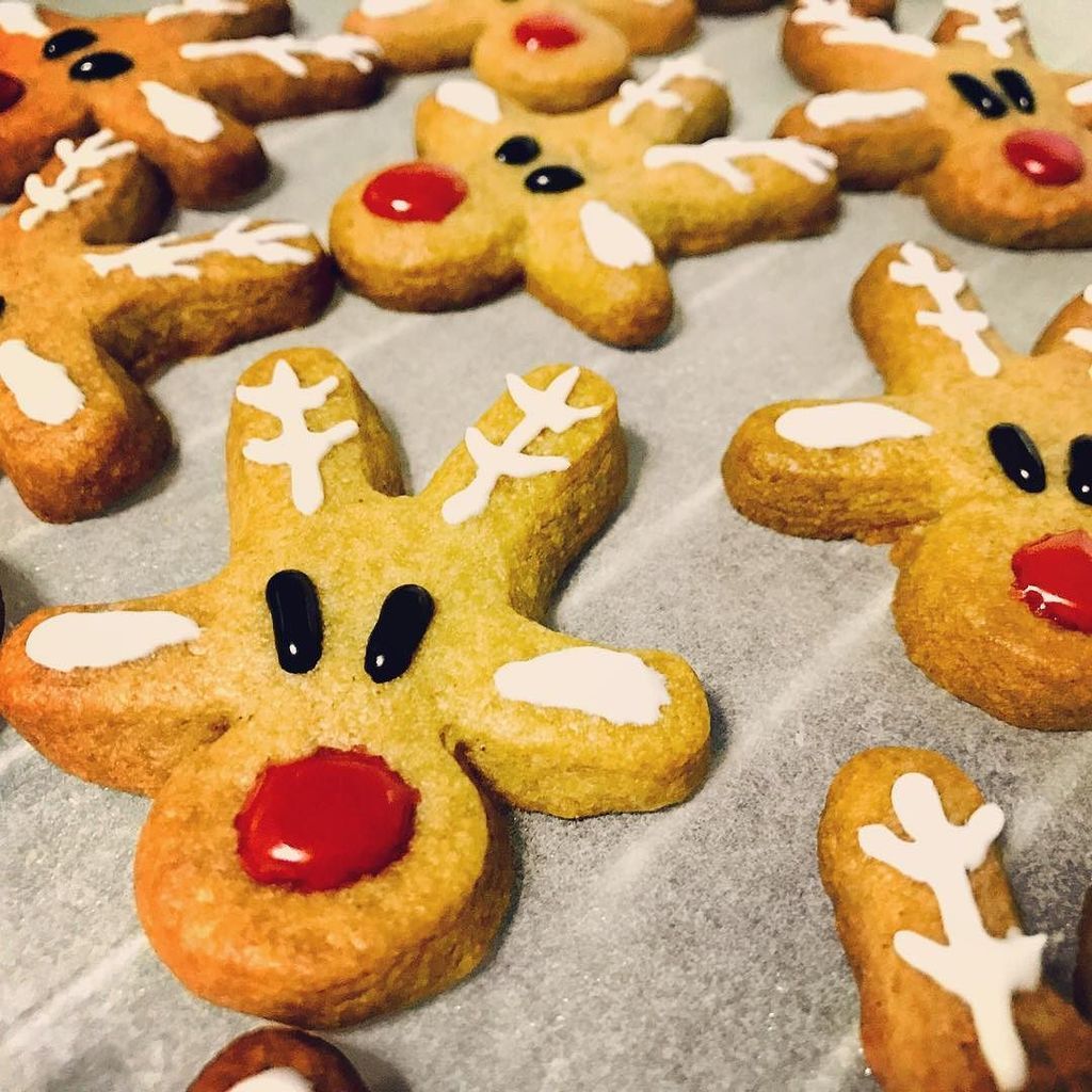 Eu_la_lia's tweet photo. Red noses everywhere #rednose #rudolph #rudolphtherednosedreindeer #bake##baking #bakingcookies #reindeer #gingerbr… https://t.co/nXUlIKRdJO