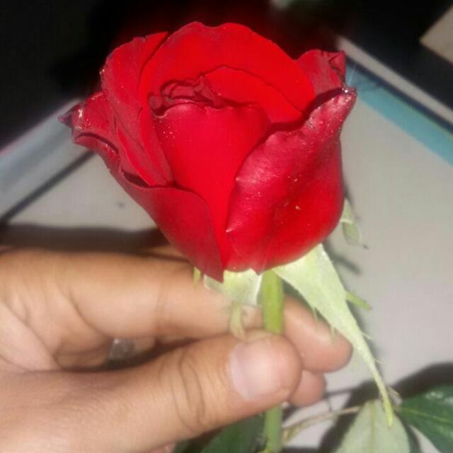 #TeamSuperJunior
#SOOMPIAWARDS