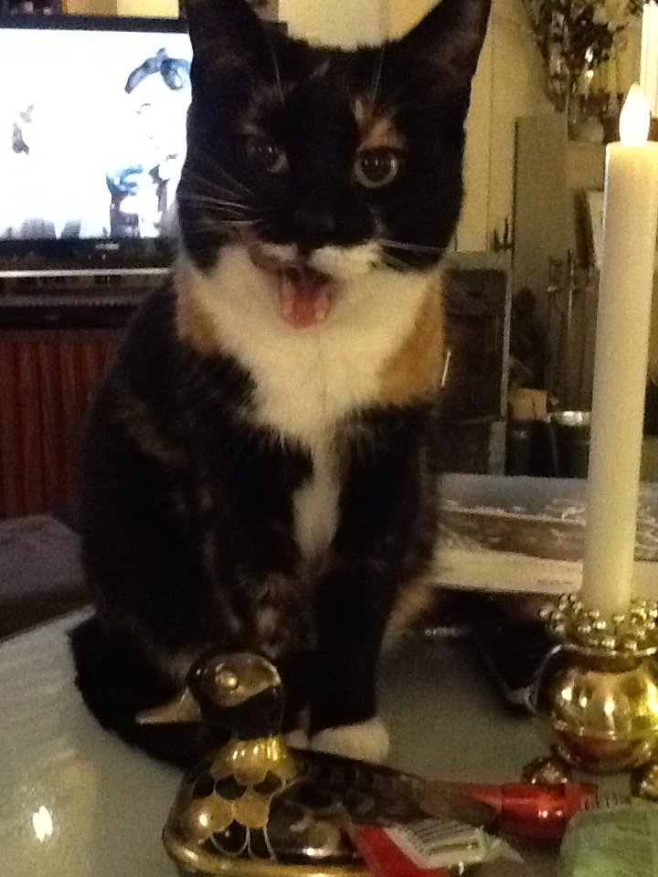 Happy new year to all of you! How about saving the world this year, huh?! C'mon folks! Quit da shit and do goood!