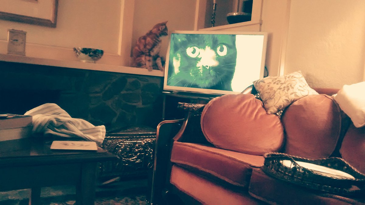 graysonlarkin's tweet image. Our almost-instinct almost true:
What will survive of us is love.