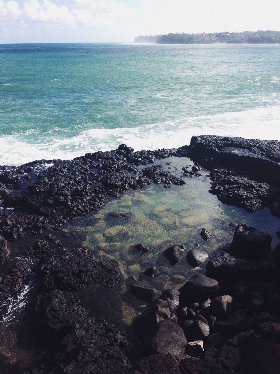 TheMaskMans's tweet image. Blissful........