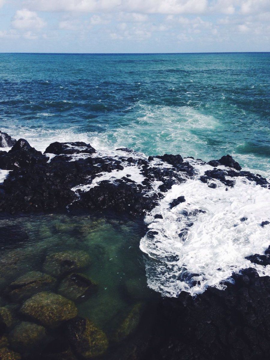 TheMaskMans's tweet image. Blissful........