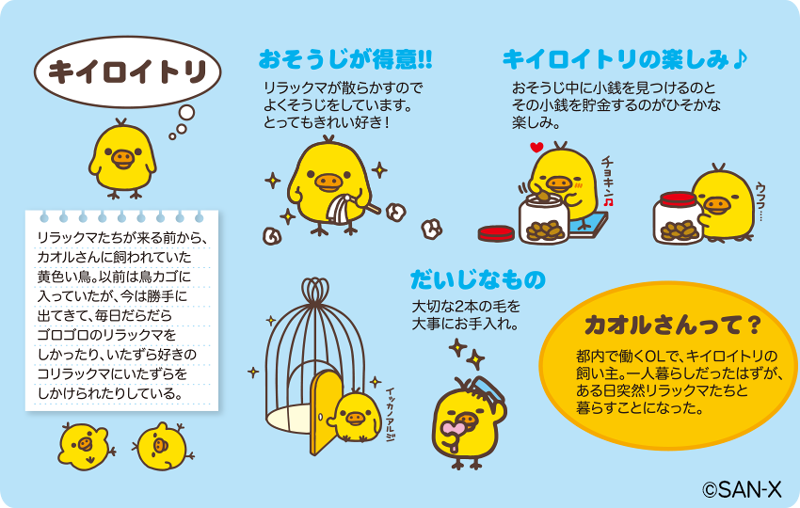 キイロイトリのだいじなものは、2本の毛！大事にお手入れしてるんです