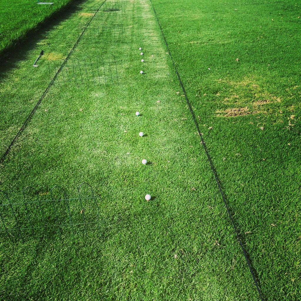 BothaDieter's tweet photo. Having fun. 
Practise time https://t.co/hZI9lCwxSj