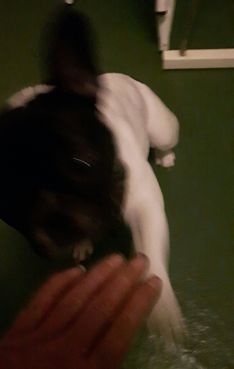 AlisonTyree0510's tweet photo. Rubbish pic but a high five from our fabulous host at @lockedinedin after escaping the new room today Thanks guys! https://t.co/uwbe2Iqprw