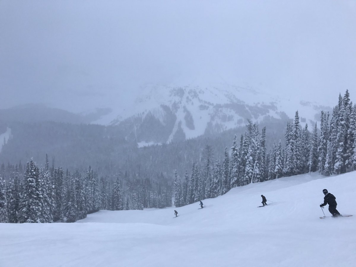 morganlinton's tweet image. It's a bit chilly out #banff #skication