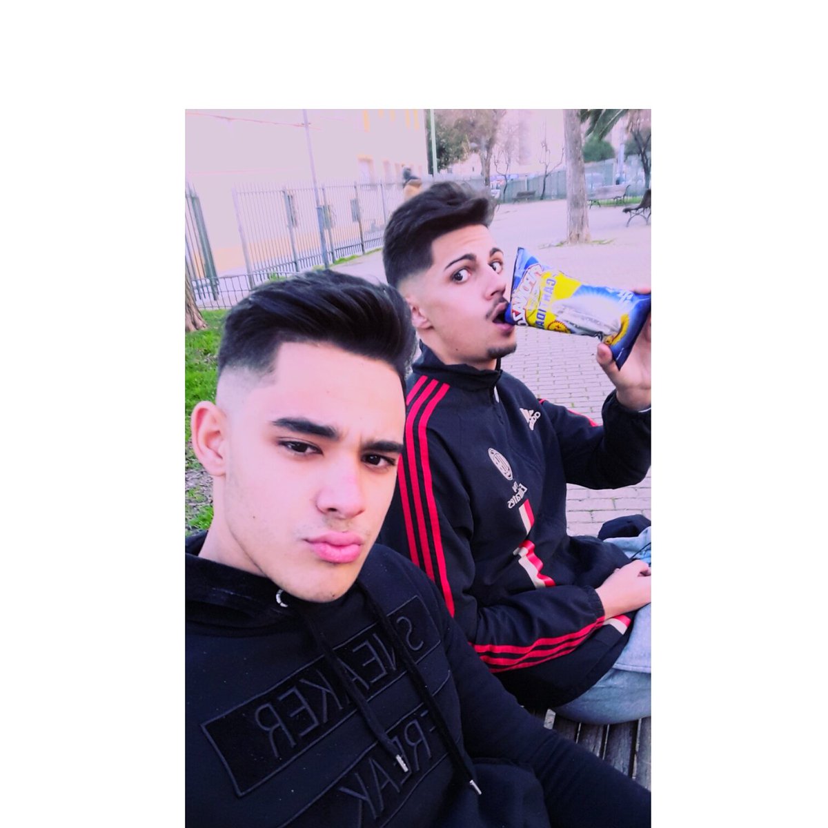 Aaron9Sanchez's tweet photo. Amor de patis https://t.co/dSsfDIkeOG