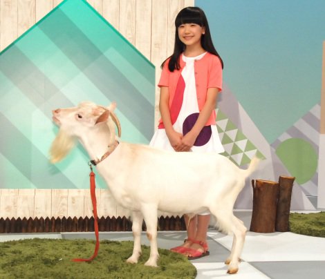 芦田愛菜と山羊が司会のeテレ番組 子ども安全リアル ストーリー の ヤギ太 やドラマパートの妙なリアルさが攻めている Togetter