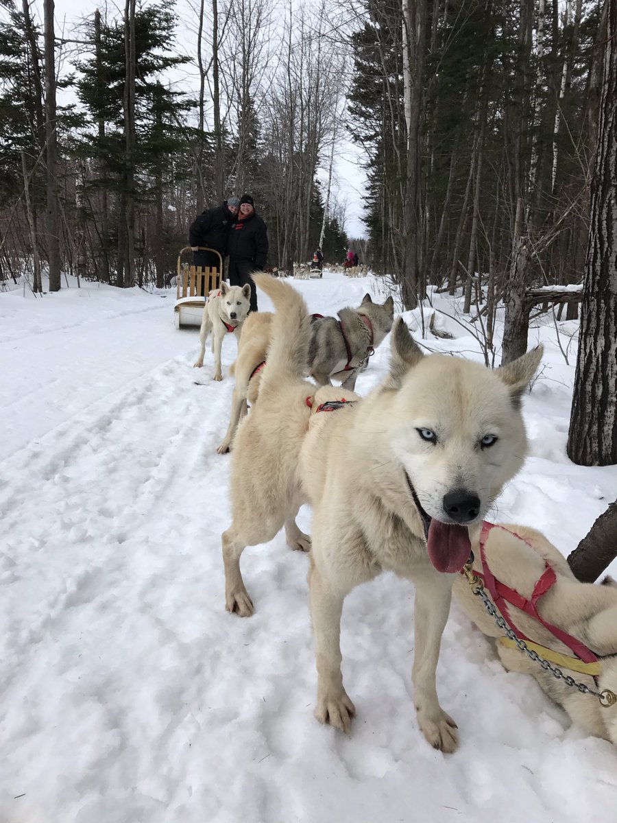 abbybartlettt's tweet photo. day 3: dog sledding, St. Anne-de-Beaupré, &amp; exploring the city #QC2016 https://t.co/DieTqoisb2