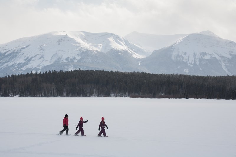 The FREE #DiscoveryPass is available online and at our gates and visitor centres until the end of 2017! #Canada150 ow.ly/IqSo307aoZC