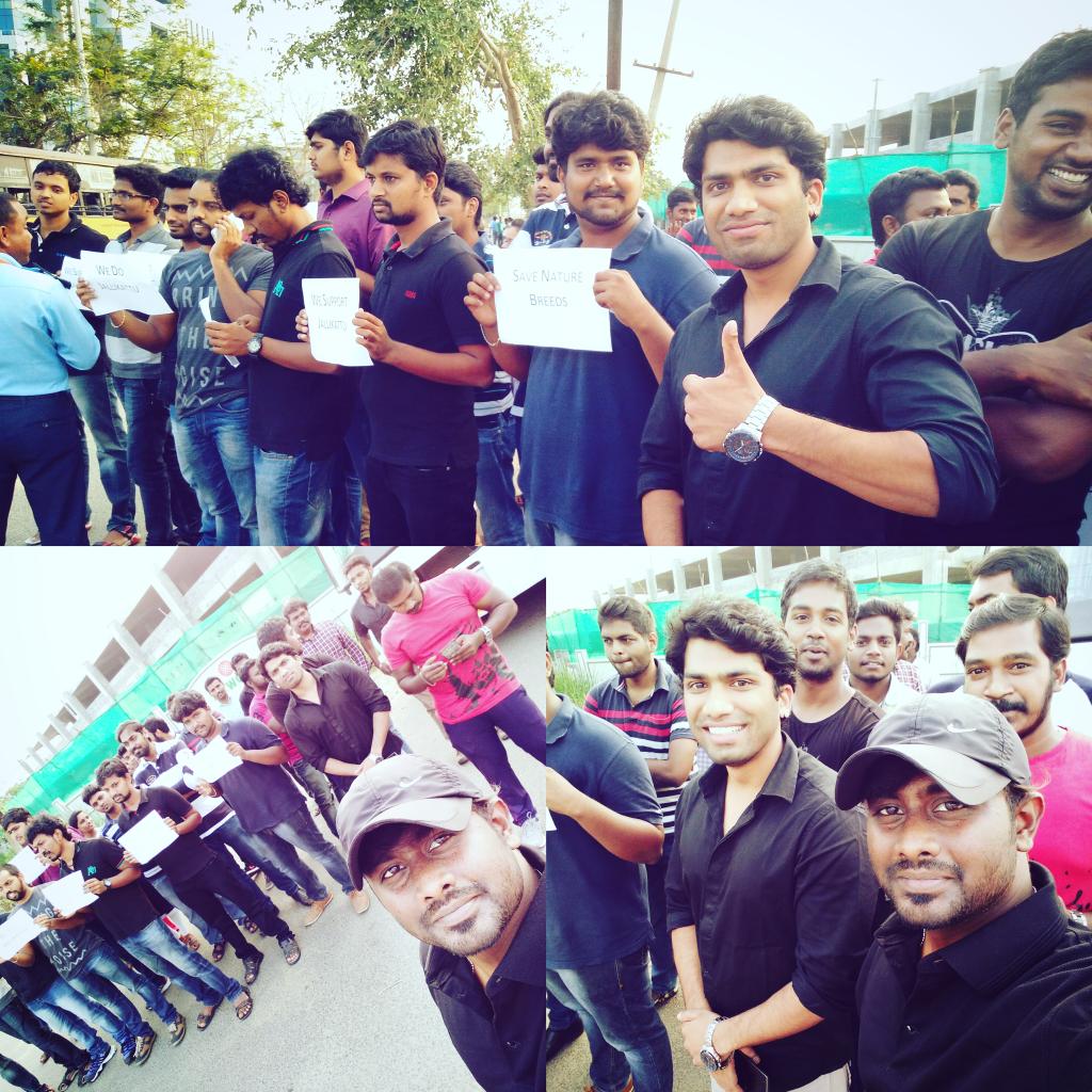 Suresh_Carthik's tweet photo. #protestforsavingNativeBreed #wedojallikatu ##unityforjallikatu #eruthazhuvuthal #bullEmbracing #Bullhuging #stopDestryingIdentity @iam_str https://t.co/SwxG72Xz19