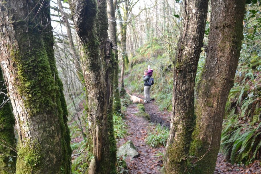 TinBoxTraveller's tweet photo. Some stunning walks while staying at our Cornish holiday cottage at @Bosinver https://t.co/nZBNGtt1lL #adventureinspiration #ad https://t.co/y1JsHEuj75