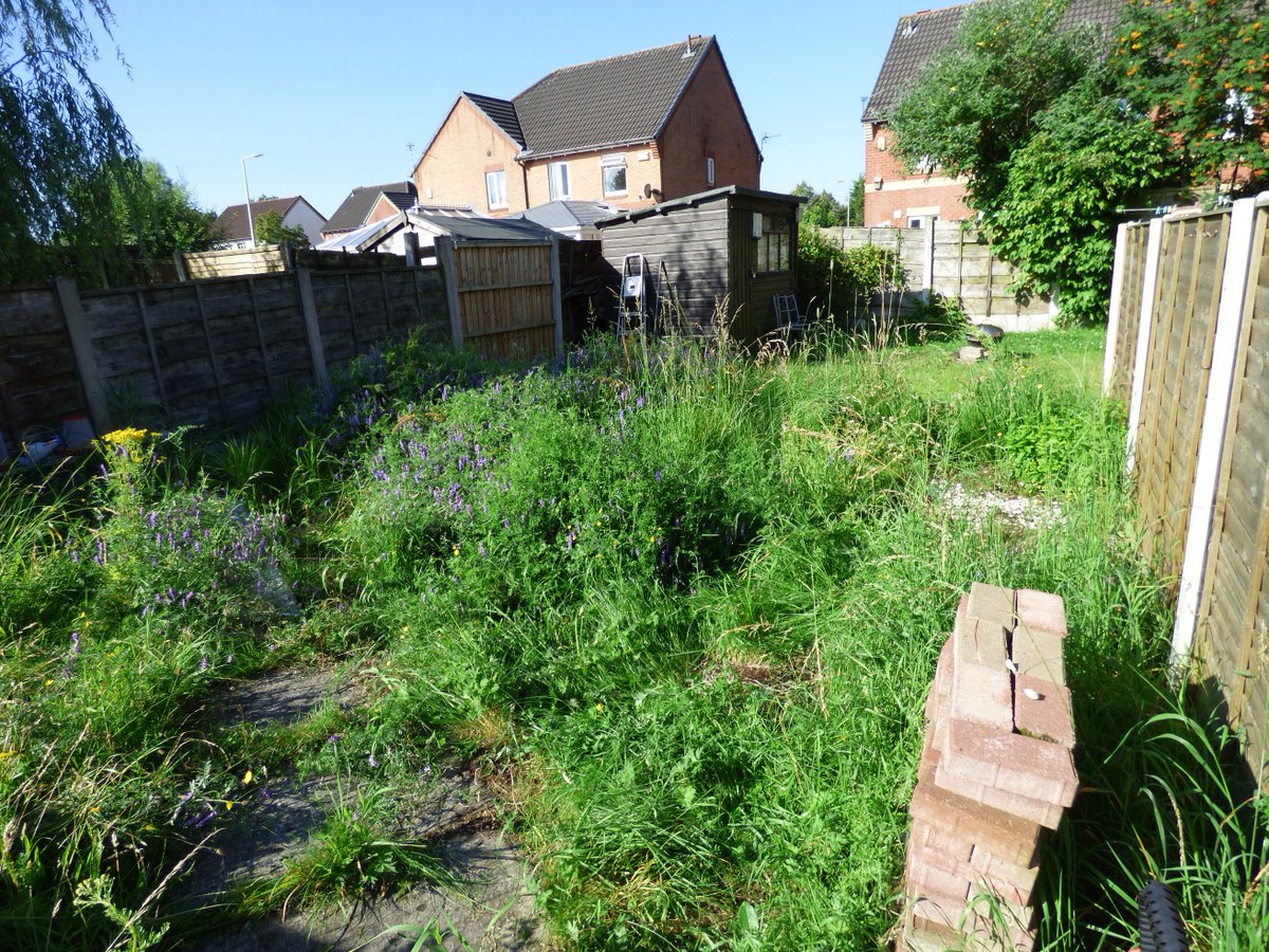 GardeningJandJ's tweet image. A clearance job to get this garden ready for some landscaping #gardeningjandj