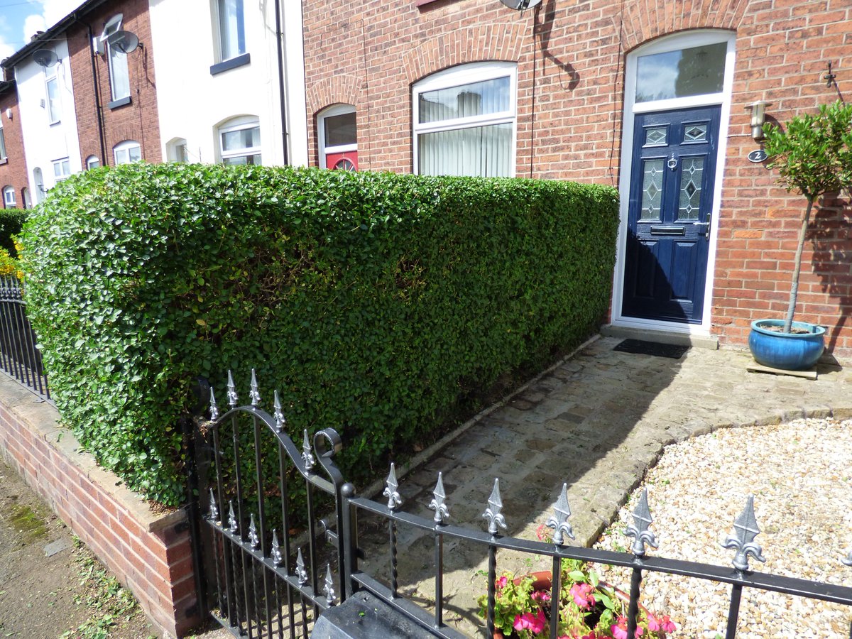 GardeningJandJ's tweet image. Trimming and shaping hedge rows the Efco equiptment. #efcopowerequipment #efcopower.com #jandjgardening