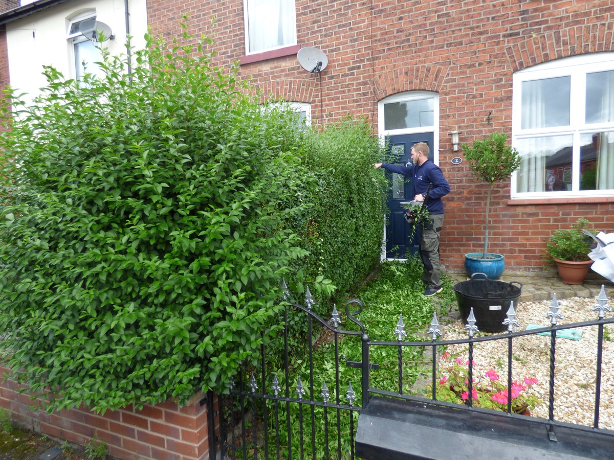 GardeningJandJ's tweet image. Trimming and shaping hedge rows the Efco equiptment. #efcopowerequipment #efcopower.com #jandjgardening
