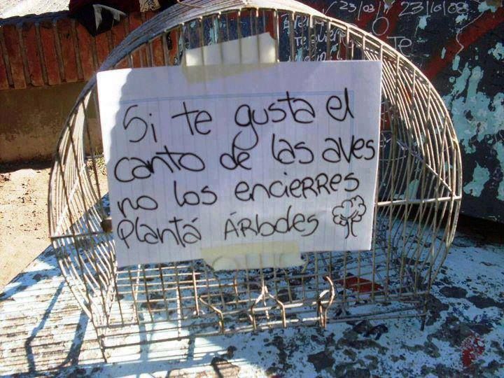 Ecogranjero's tweet photo. No hay peor condena que la de un inocente https://t.co/NCNJ5cTjcY