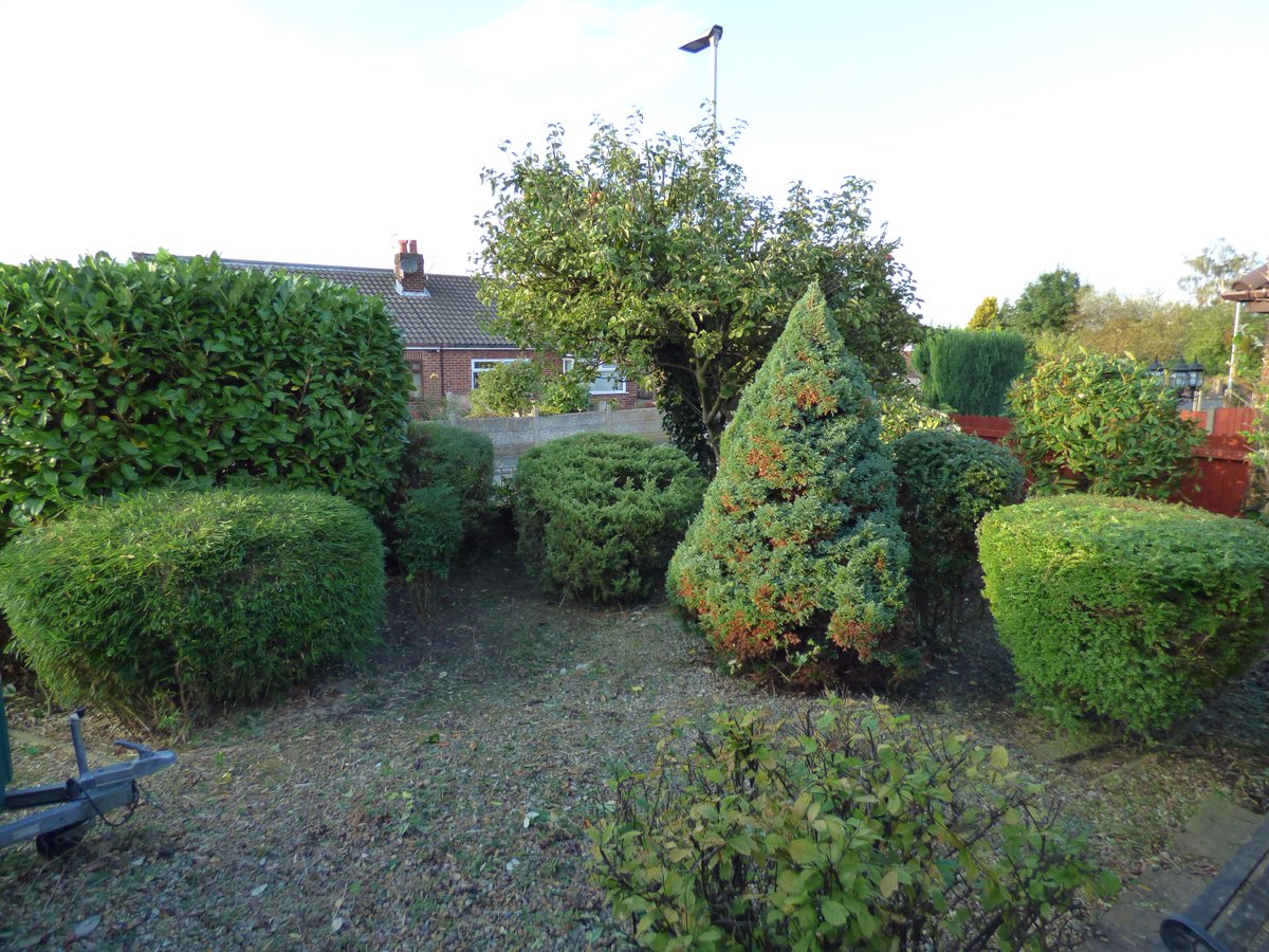 GardeningJandJ's tweet image. a full garden tidy up with #jandjgardening #gardening@jandj
