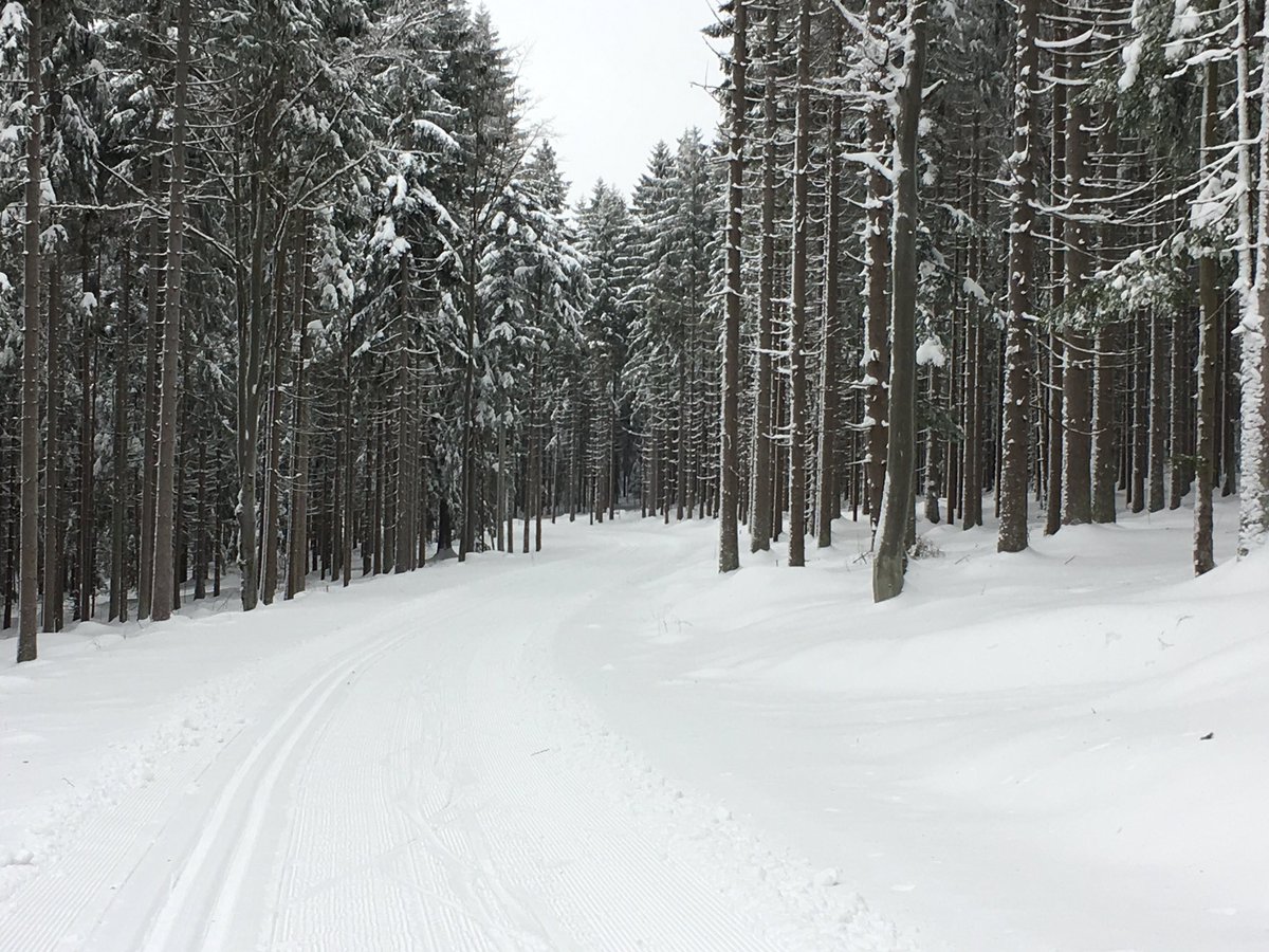 MattEmmonsUSA's tweet photo. Finally got out on skis today. Dropped the kids at school, hopped across the border to Germany. @USBiathlon #lovesnow #freshtrails #TeamUSA https://t.co/Xw1Q3H583j