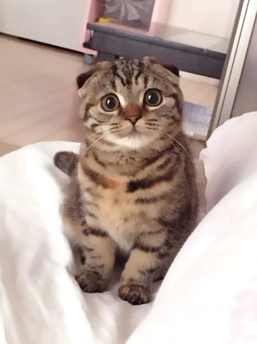 ゆづきはるな ぽってり W っ