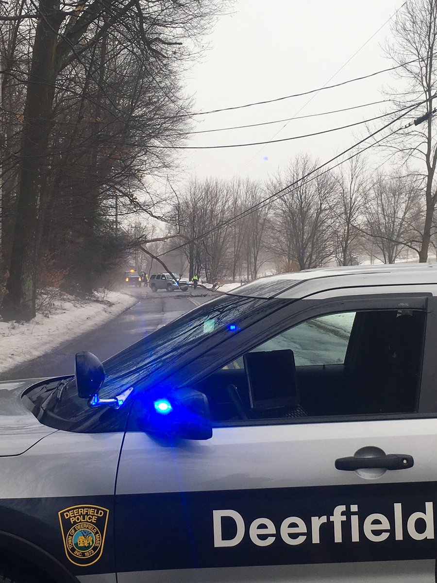 Upper Road Closed with a tree on wires in the road