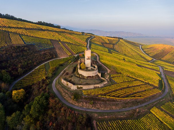 Happy Friday from Katzenthal, Alsace! #DrinkAlsace