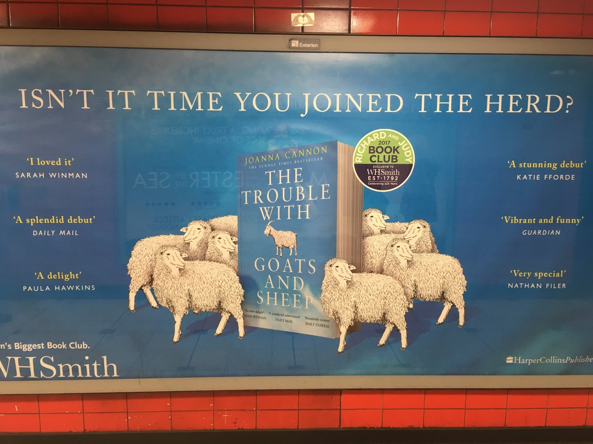 HannahOOBrien's tweet photo. Spotted at Green Park! The perfect place for grazing? #GoatsandSheep #BlueorYellow https://t.co/OfXY2RPfjQ