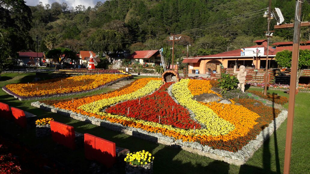 ATP_panama's tweet photo. La Feria Internacional de las Flores y el Café en Boquete se prepara para recibir a más de 150 mil visitantes del 12 al 22 de enero. https://t.co/ebXLtNEtPI