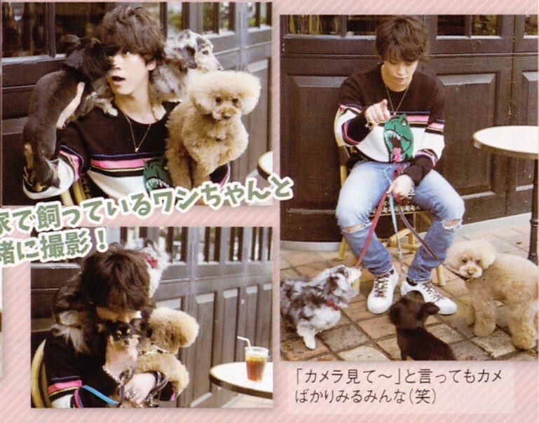 Little Mons Er ちょっとwガガ様が亀と同じサンローランのニット着てるんだけどwwwしかも愛犬3匹に囲まれたシチュエーションまで同じwww何 匂わせ 2人付き合ってんの